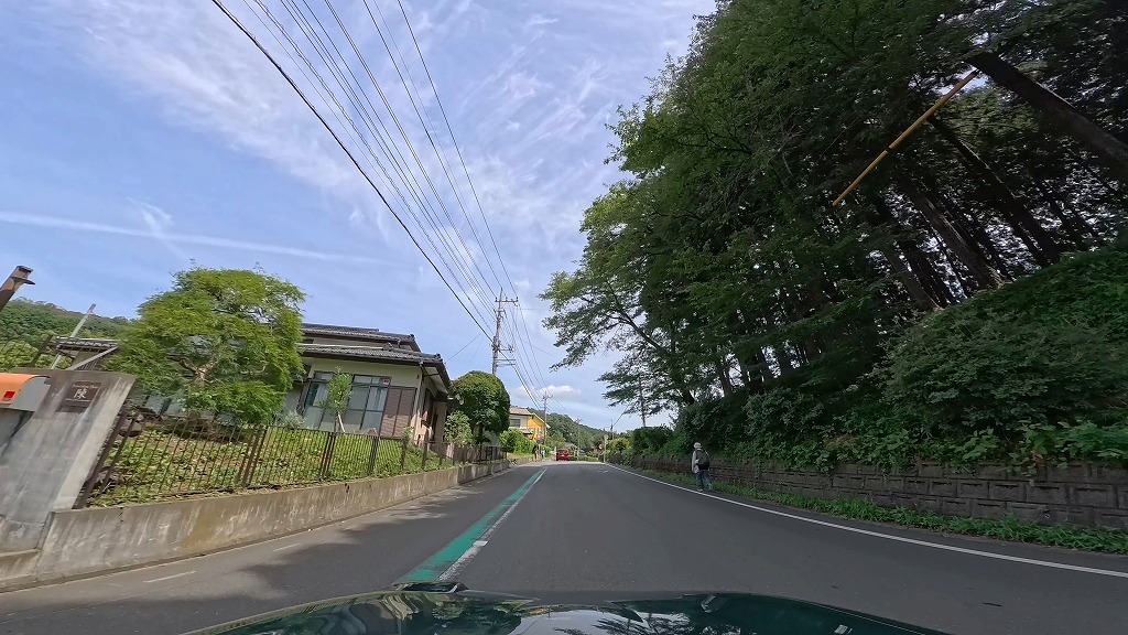 日高市 カワセミ街道
